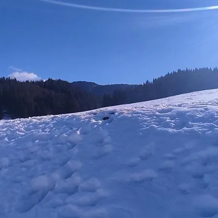 Marina Apartamento *